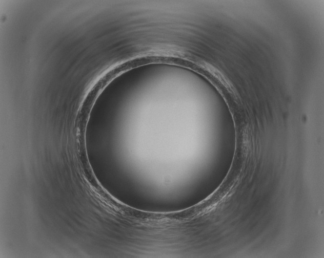 X0000085040926200703121430