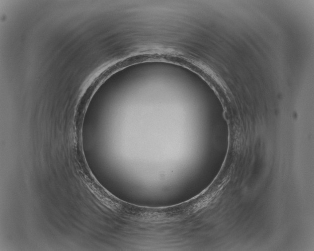 X0000085040927200703121430