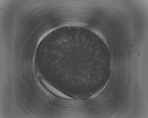 X0000085040928200703121430