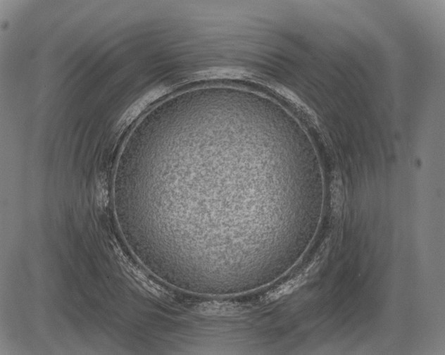 X0000085040929200703121430