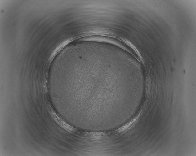 X0000085040930200703121430