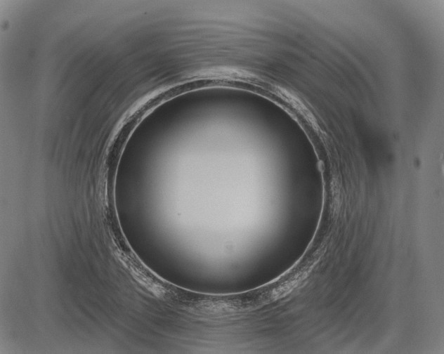 X0000085040931200703121430