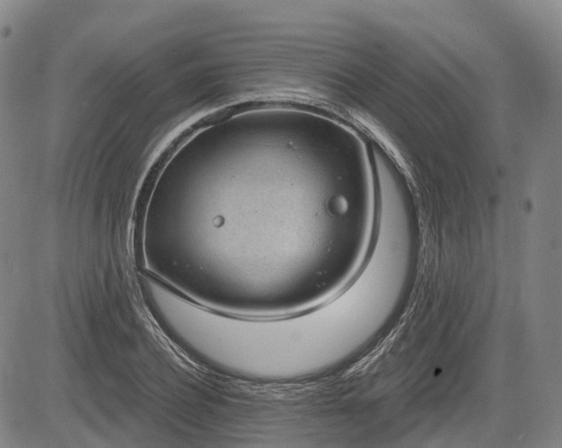 X0000085040932200703121430