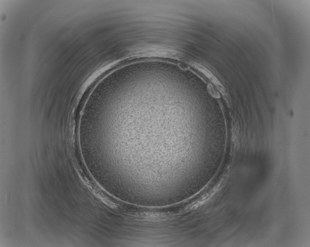 X0000085040933200703121430