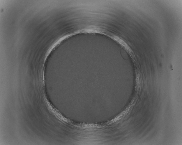 X0000085040934200703121430