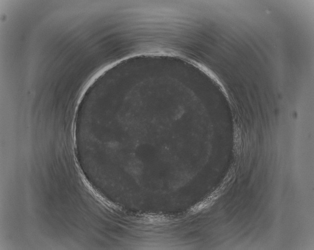 X0000085040935200703121430