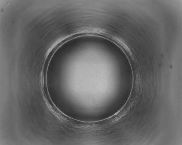 X0000085040936200703121430