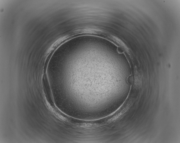 X0000085040938200703121430