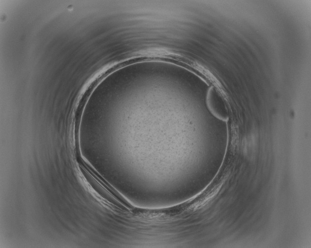 X0000085040939200703121430