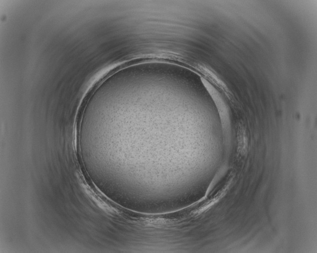 X0000085040940200703121430