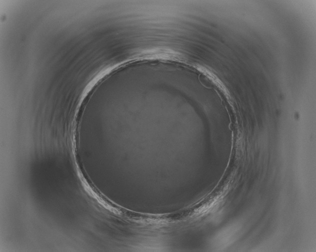 X0000085040941200703121430