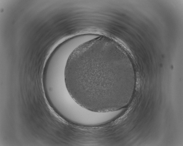 X0000085040942200703121430