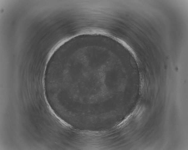 X0000085040943200703121430