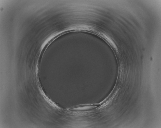 X0000085040944200703121430