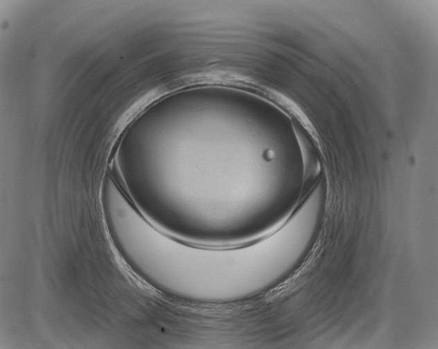 X0000085040946200703121430