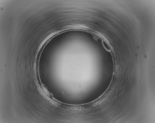 X0000085040947200703121430