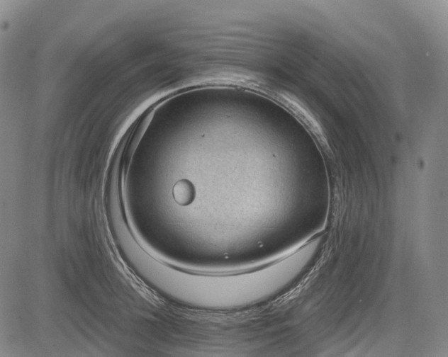 X0000085040948200703121430