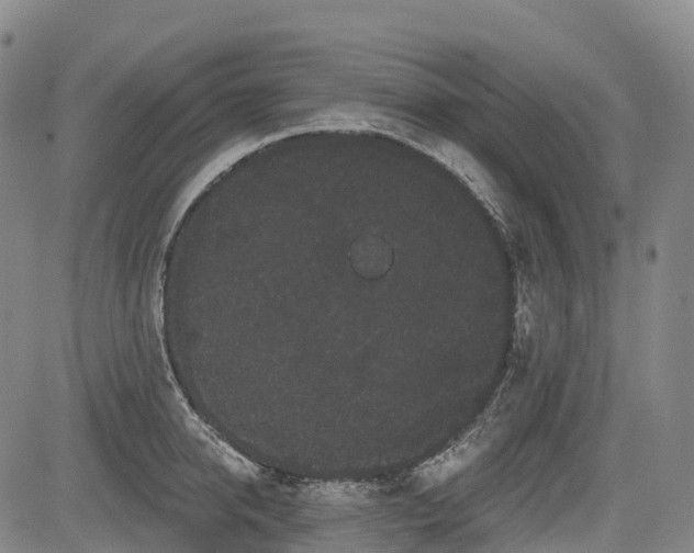 X0000085040950200703121430