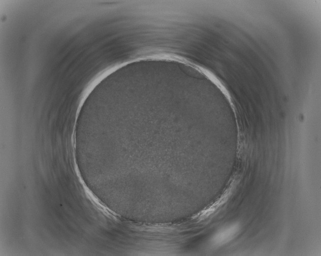 X0000085040951200703121430