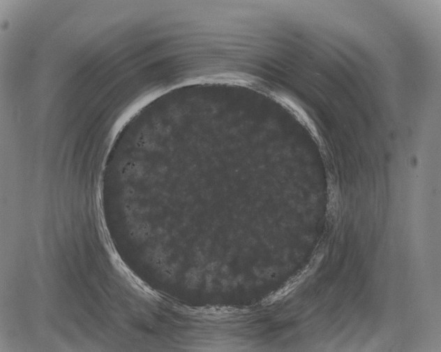 X0000085040952200703121430