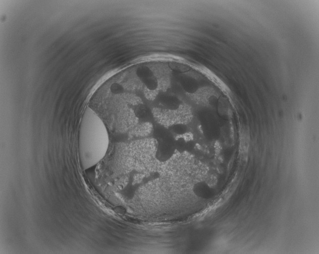 X0000085040953200703121430