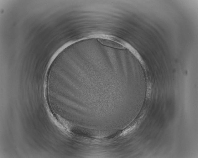 X0000085040955200703121430