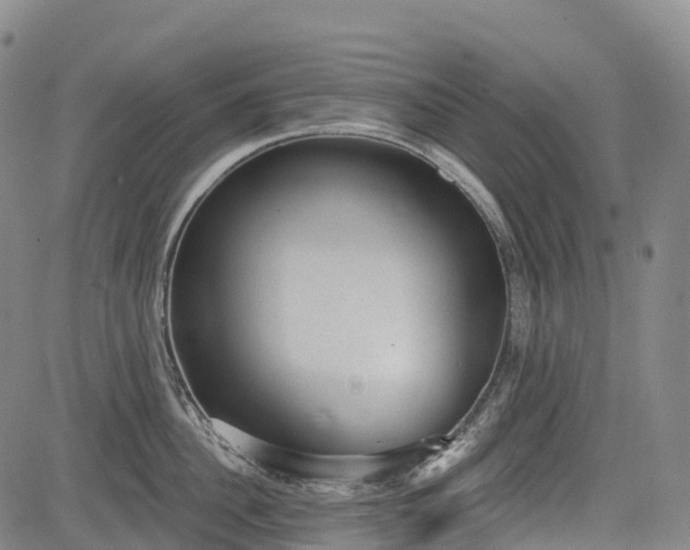 X0000085040956200703121430