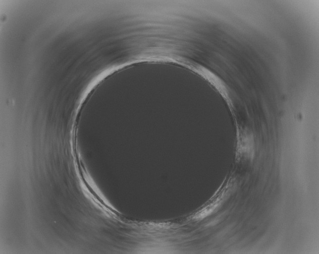 X0000085040958200703121430