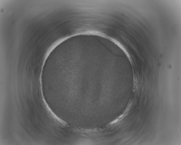 X0000085040959200703121430