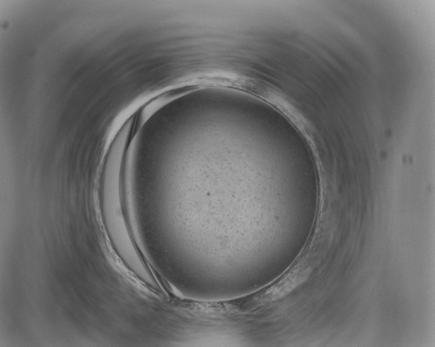 X0000085040960200703121430