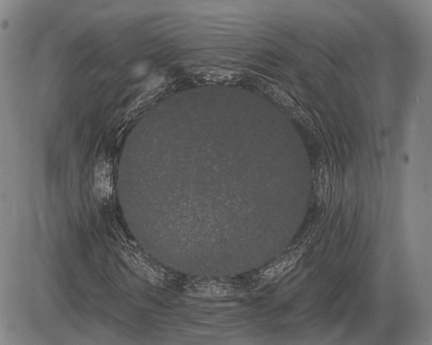 X0000085040962200703121429