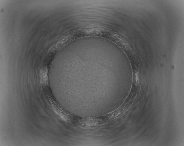 X0000085040963200703121429