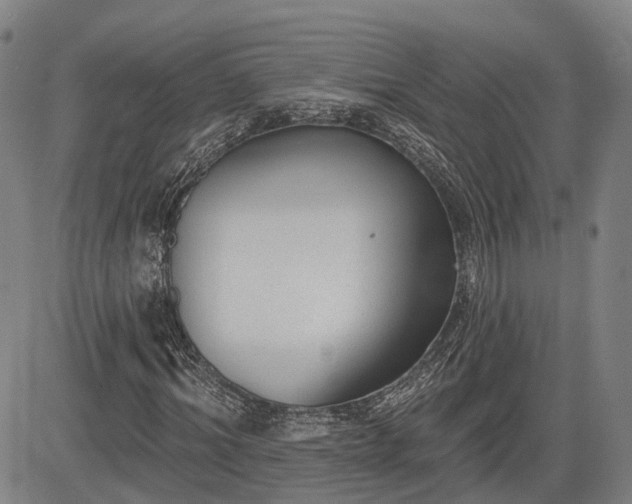 X0000085040964200703121429