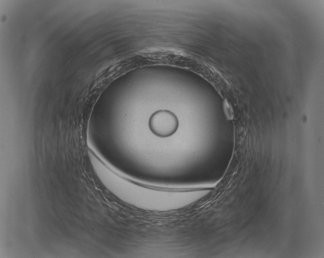 X0000085040965200703121429