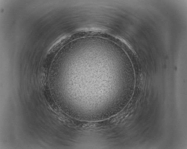 X0000085040967200703121429