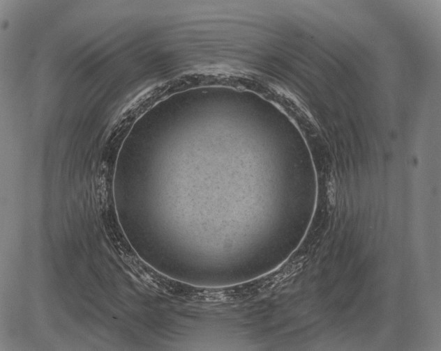 X0000085040968200703121429