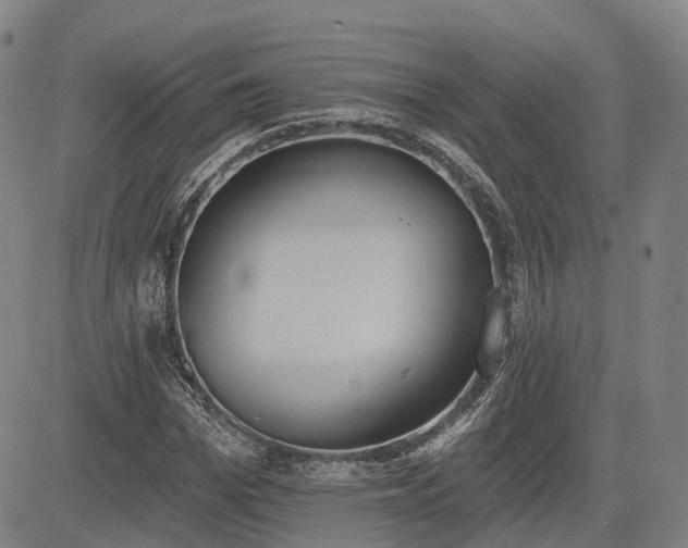 X0000085040969200703121429