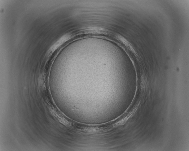 X0000085040970200703121429