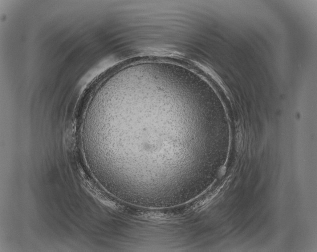 X0000085040971200703121429