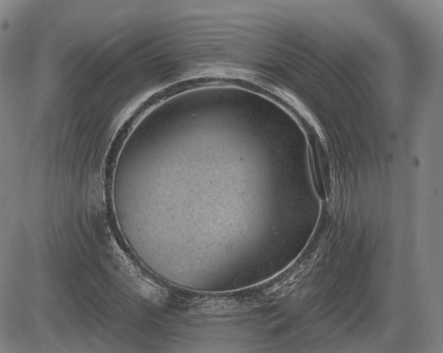 X0000085040972200703121429