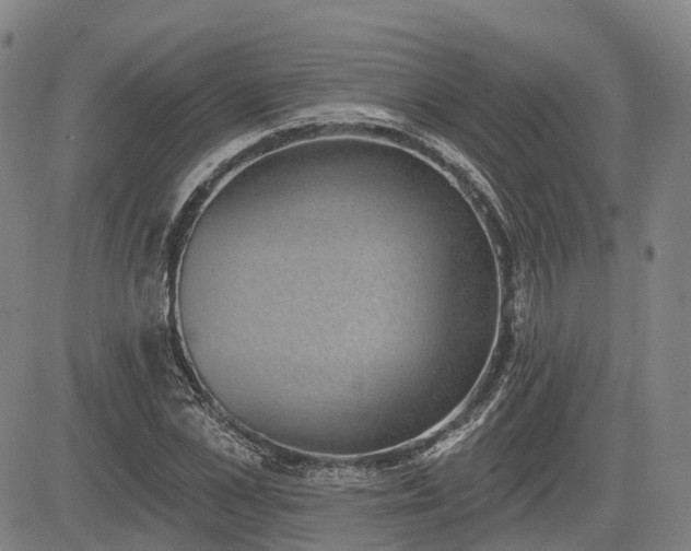 X0000085040973200703121429