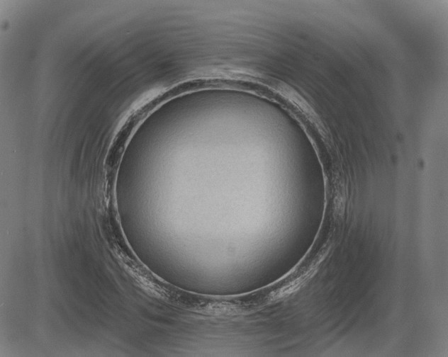 X0000085040974200703121429