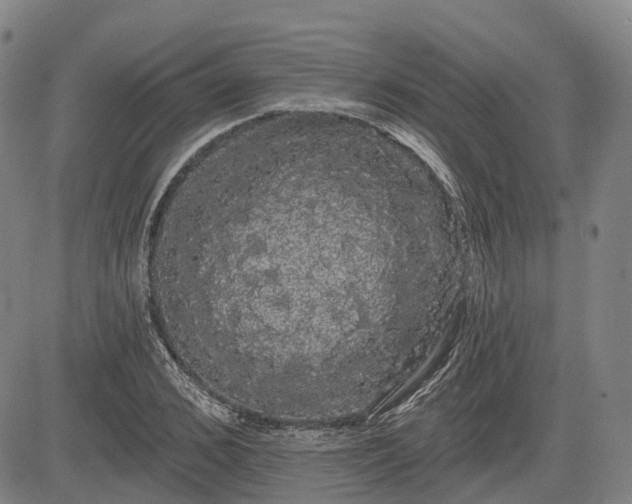 X0000085040976200703121429