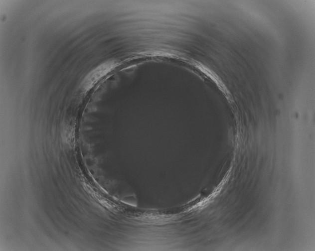 X0000085040977200703121429