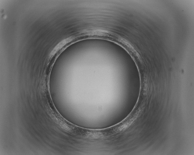 X0000085040978200703121429