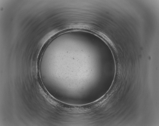 X0000085040980200703121429