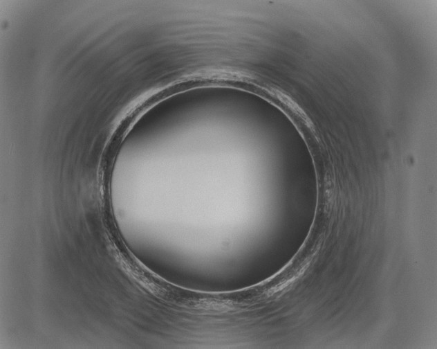 X0000085040981200703121429