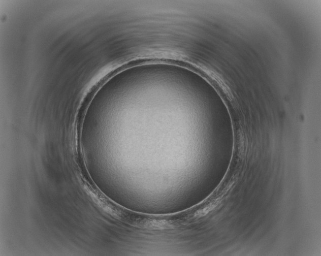 X0000085040982200703121429