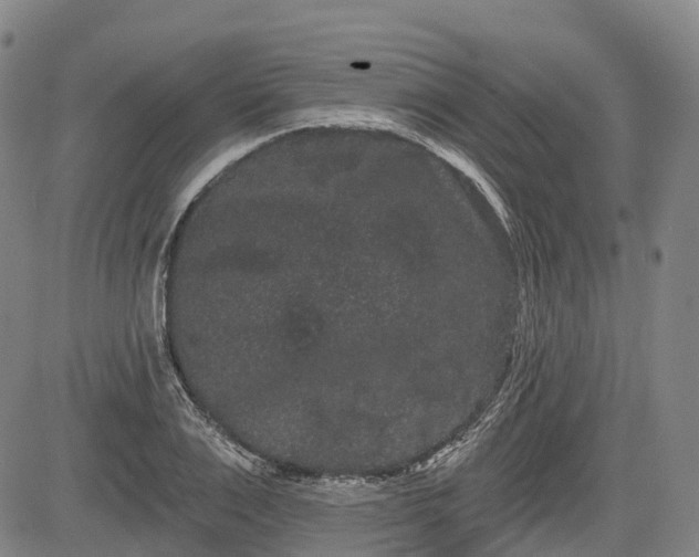 X0000085040983200703121429