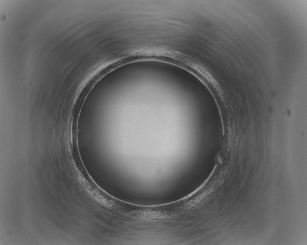 X0000085040984200703121429